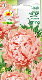 toraf-aster-peoniowy-wysoki-janka-1g-rozowy