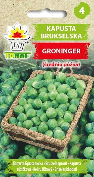 toraf-kapusta-brukselka-groninger-2g