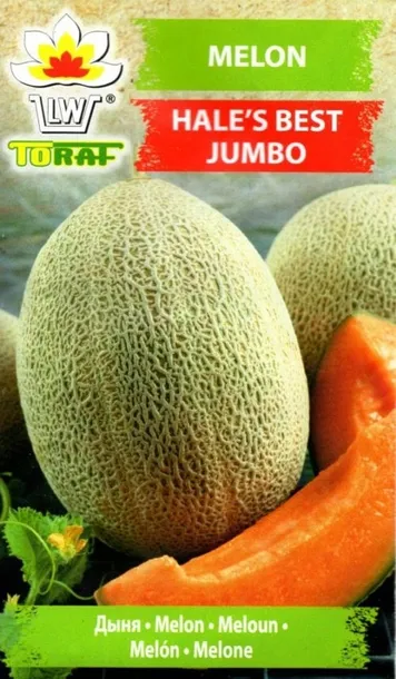 toraf-melon-hales-best-jumbo-1g-rodzaj-rosliny-melon