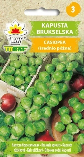 toraf-kapusta-brukselka-groninger-2g-rodzaj-rosliny-kapusta