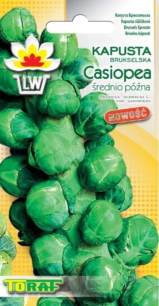 toraf-kapusta-brukselka-groninger-2g-kod-producenta-n1082