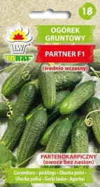 toraf-ogorek-partner-f1-2g