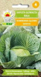 toraf-kapusta-kamienna-glowa-2g