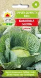 toraf-kapusta-kamienna-glowa-2g-rodzaj-rosliny-kapusta