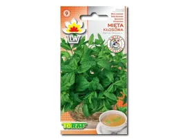 toraf-mieta-zielona-01g