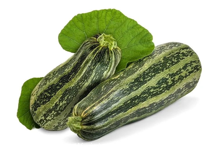 toraf-cukinia-tapir-3g-nazwa-lacinska-cucurbita-pepo-patisoniana