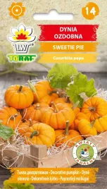 toraf-dynia-ozdobna-sweetie-pie-2g
