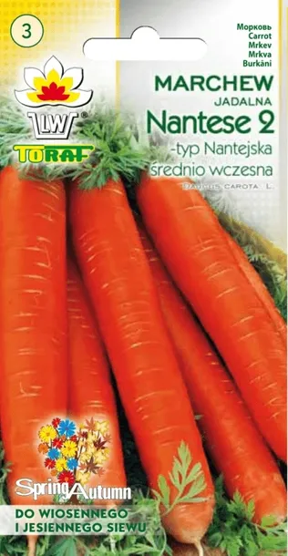 toraf-marchew-nantese-2-5g-cykl-rozwojowy-rosliny-jednoroczna