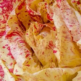 toraf-cykoria-lisc-variegata-di-castelfranco-5g