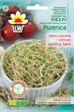 toraf-kielki-pszenica-50g