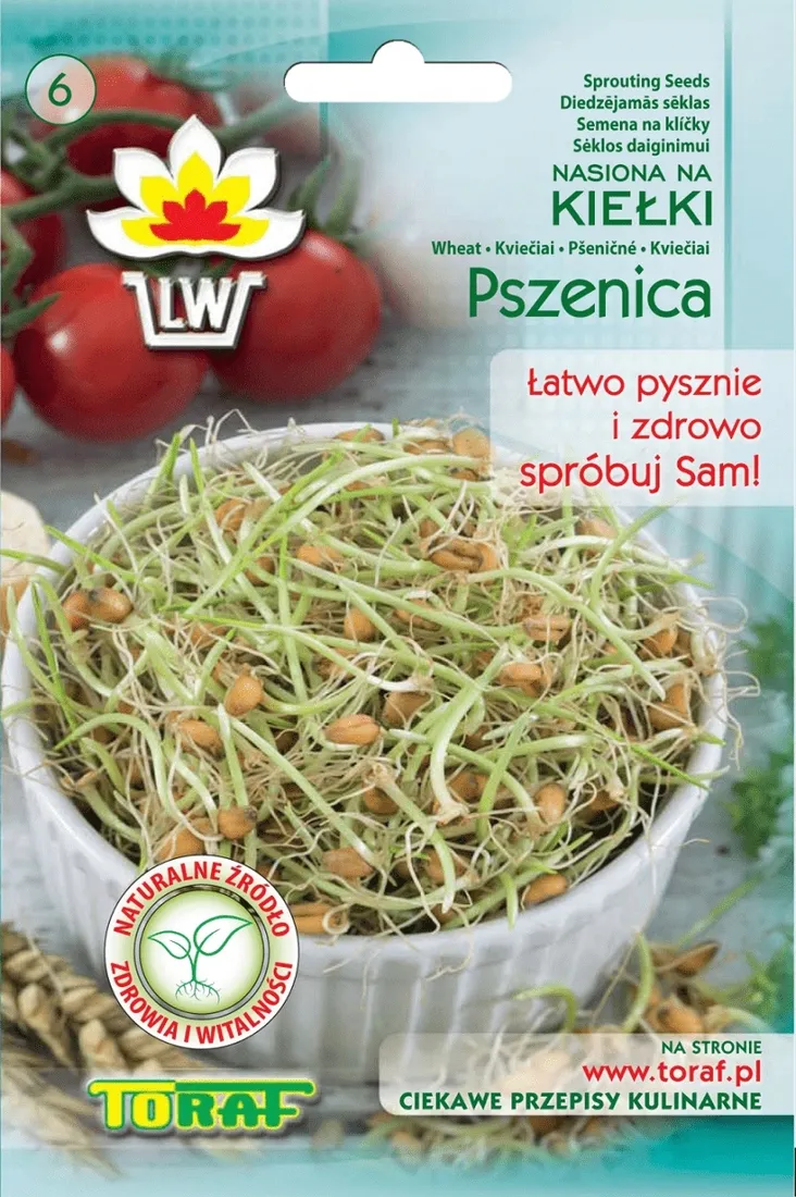 toraf-kielki-pszenica-50g-waga-50-g