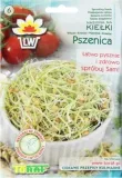 toraf-kielki-pszenica-50g-marka-toraf