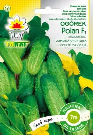 toraf-ogorek-polan-f1-tasma-7m