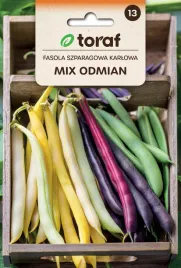 toraf-fasola-szparagowa-karl-mix-odmian-40-g