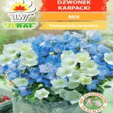 toraf-dzwonek-karpacki-03g-rodzaj-rosliny-dzwonki
