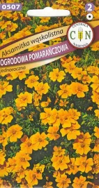 cn-aksamitka-waskolistna-pomaranczowa-05g