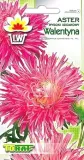 toraf-aster-igielkowy-walentyna-1g-rodzaj-rosliny-astry
