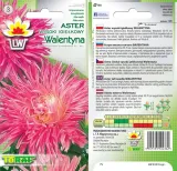 toraf-aster-igielkowy-walentyna-1g-cykl-rozwojowy-rosliny-jednoroczna