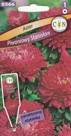 cn-aster-peoniowy-stanislaw-1g-czerwony
