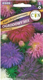 cn-aster-chryzantemowy-mix-1g