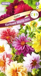 cn-dalia-zmienna-waria-mix-1g