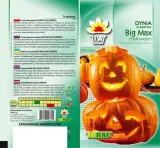 toraf-dynia-olbrzymia-big-max-3g-rodzaj-rosliny-dynia