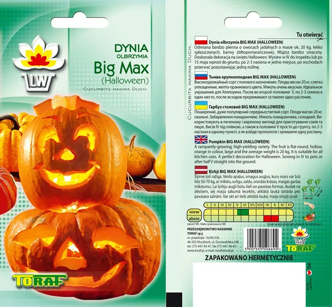 toraf-dynia-olbrzymia-big-max-3g-kod-producenta-5907595506694