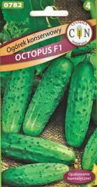 ogorek-octopus-odporna-plenna-odmiana-konserwowy-ogorki-oktopusy-20-sztuk