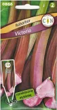 cn-rabarbar-victoria-1g