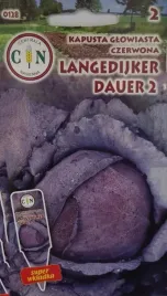 cn-kapusta-czerwona-langedijker-2g