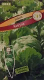 cn-salata-kwiryna-1g-rodzaj-rosliny-salata