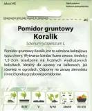 cn-pomidor-koralik-05g-rodzaj-rosliny-pomidory