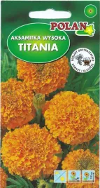 polan-aksamitka-wyniosla-pomaranczowa-titania-2g