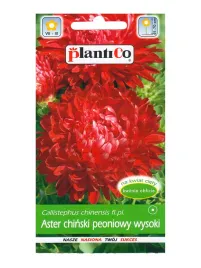 plantico-aster-peoniowy-czerwony-1g