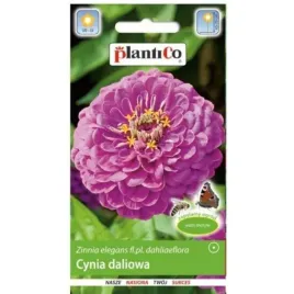 plantico-cynia-wytw-daliowa-lawendowa-1g