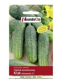plantico-ogorek-konserwowy-krak