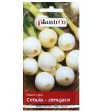 plantico-cebula-agra-3g