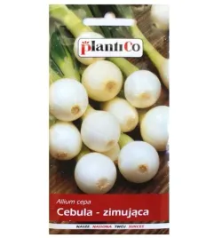 plantico-cebula-agra-3g