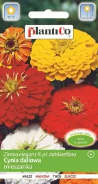 plantico-cynia-daliowa-mix-1g