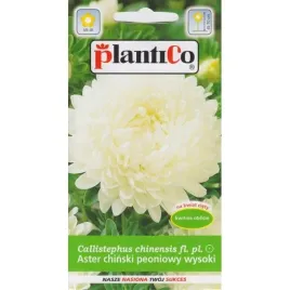 plantico-aster-ch-peoniowy-bialy-1g
