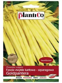 plantico-fasola-zw-karlowa-goldpantera