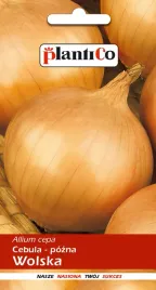 plantico-cebula-wolska-5g
