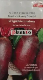 plantico-burak-opolski-otoczkowany-100n