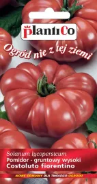plantico-pomidor-costoluto-fiorentino-02g
