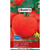 plantico-pomidor-julia-01g