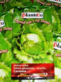 plantico-salata-krucha-carmina-05g