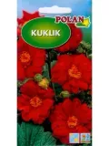 polan-kuklik-05g