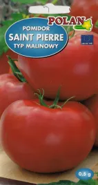 polan-pomidor-gruntowy-saint-pierre-05g