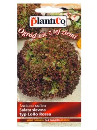 plantico-salata-lisciasta-lollo-rossa-05g
