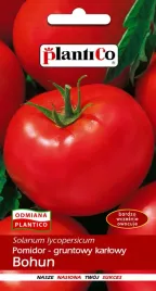 plantico-pomidor-bohun-1g